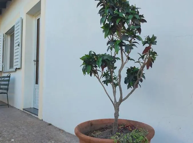 La Porota