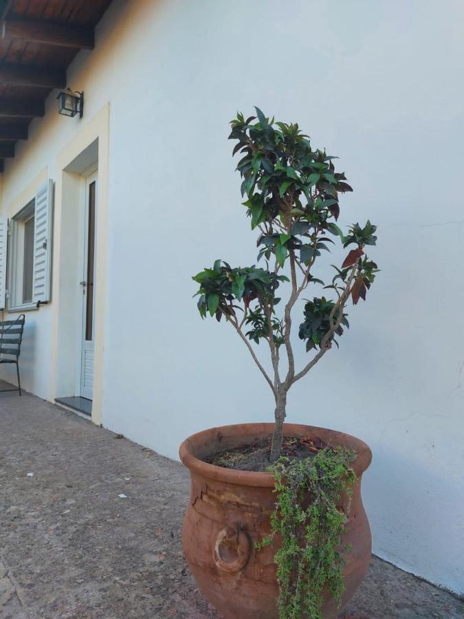Holiday home La Porota *