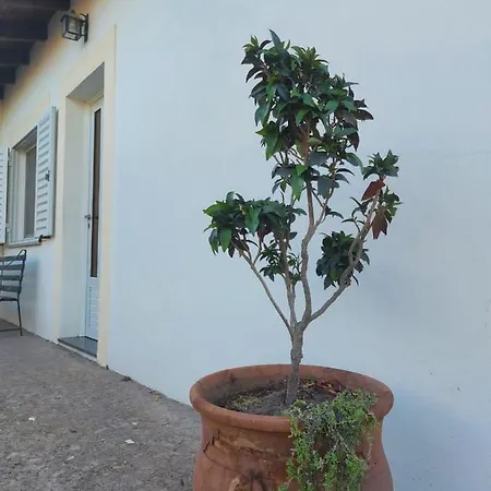 La Porota Villa Ramallo Exterior photo